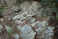 Moss on rock face relief texture of stone with patterns - PhotoDune Item for Sale