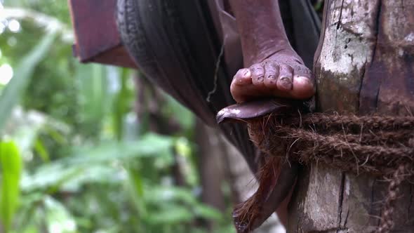 Toddy Tapper Foot Tree