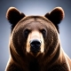 Bear - AudioJungle Item for Sale