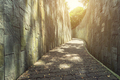 Walkway in garden in the morning with sunlight. Empty path for background. - PhotoDune Item for Sale