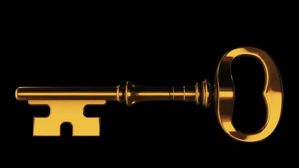 Download Gold Keys Background - After Effects Projects