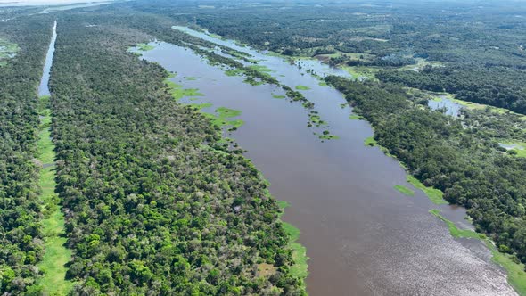 Stunning landscape of Amazon Forest at Amazonas State Brazil.