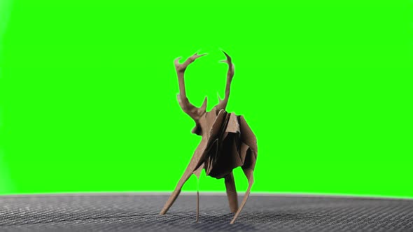 Origami Deer on Green Screen.