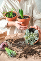 Home gardening,female florist working land plants,transplanting flowers pot,Hobby concept home garde - PhotoDune Item for Sale