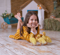 pet bird games - PhotoDune Item for Sale
