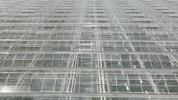 Glass roofs of greenhouses