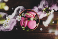 Top view on pink macaron cookies on wooden brown background with apple blossom - PhotoDune Item for Sale