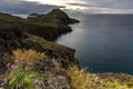 Ponta de Sao Lourenco, Madeira peninsula at sunrise. Green cliffs, Atlantic Ocean at spring.  - PhotoDune Item for Sale