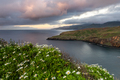 Ponta de Sao Lourenco, Madeira peninsula at sunrise. Green cliffs, Atlantic Ocean at spring.  - PhotoDune Item for Sale