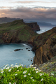 Ponta de Sao Lourenco, Madeira , Portugal. Sunrise over green cliffs and spring flowers - PhotoDune Item for Sale