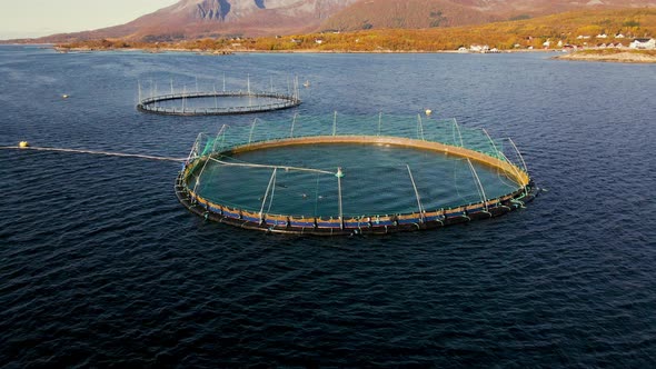 Salmon farming in the arctic circle - round marine pens; drone dolly out