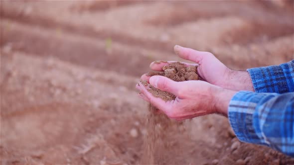 Farmer Examining Organic Soil in Hands, Farmer Touching Dirt in Agriculture Field