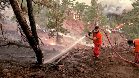 Firefighters