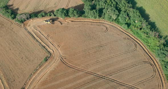 Drone Shot with Top View of Mowing Machine, Harvesting on Yellow Wheat Field for Agriculture