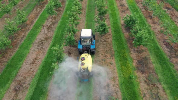 Tractor Spraying Fertilizer Apple Trees In Orchards Garden Aerial View