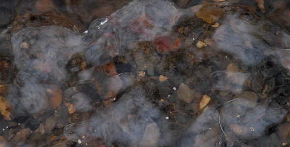 Air Bubbles Under Ice