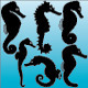 Seahorse Silhouettes - GraphicRiver Item for Sale
