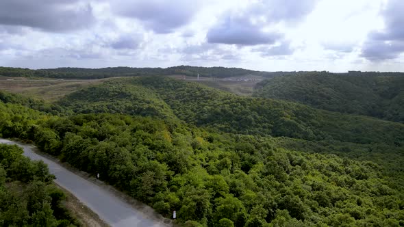 Drone flight over the north Istanbul forest. Cloudy sky and green nature