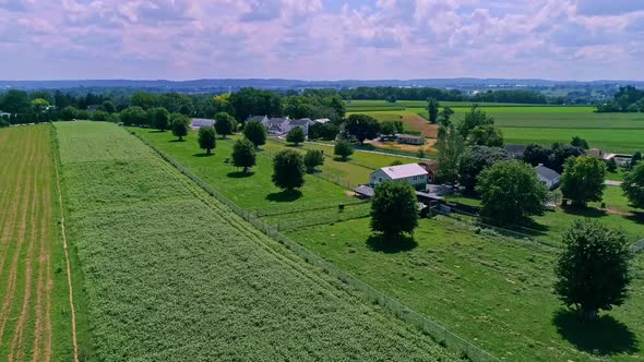 Aerial View of Farmlands Countryside Corn Fields on a Beautiful Summer Day