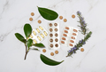 Arrangement of organic supplements products - PhotoDune Item for Sale