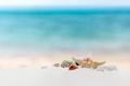 Vacation, beach or travel concept. Composition of different shells on the sand - PhotoDune Item for Sale
