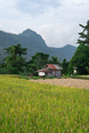 A Balinse ricefield with a hut with mountains in the background - PhotoDune Item for Sale