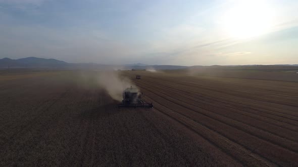 Aerial View an Harvesting Wheat in Dust Clouds