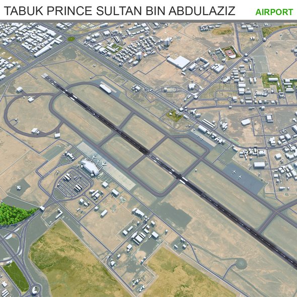 Tabuk Prince Sultan Bin Abdulaziz Airport 12km