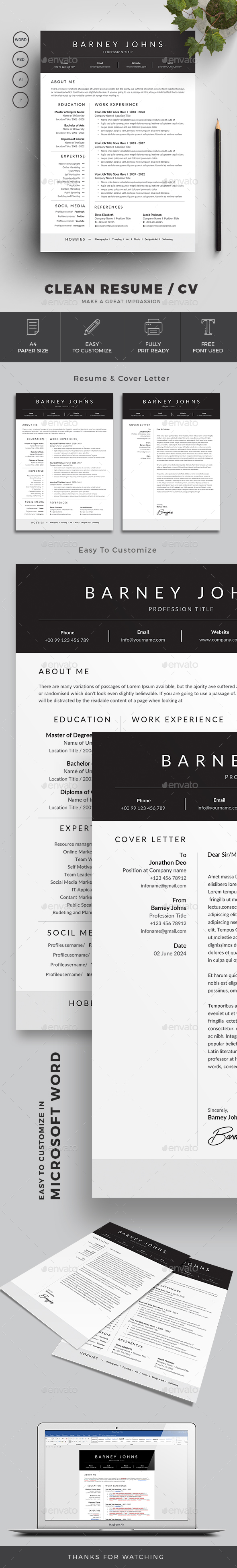 2024 S Best Selling Resume Templates   Image Preview 