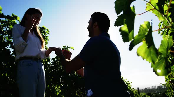 Man putting engagement ring on womans hand in vineyard