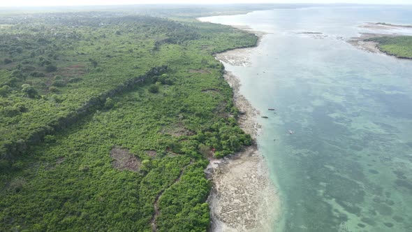 Coast of Zanzibar Island Tanzania Covered with Thickets