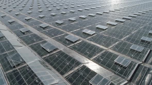 Flying Over Glass Greenhouses Growing Plants in Large Industrial Greenhouses View From a Height