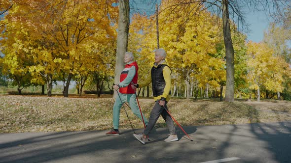 Two Aged Women Walking in Sunny Fall Park with Poles for Nordic Walking