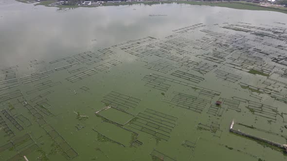 Wide aerial view of traditional floating fish pond on swamp in Indonesia