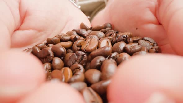 Handful of Roasted Coffee Grains in Person Palms Macro