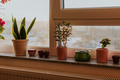 Landscape from the living room - PhotoDune Item for Sale
