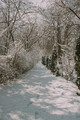 Winter wonderland in a rural village - PhotoDune Item for Sale