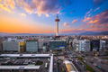 Kyoto, Japan Cityscape at Kyoto Tower - PhotoDune Item for Sale