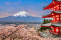 Fujiyoshida, Japan at Chureito Pagoda and Mt. Fuji in the Spring - PhotoDune Item for Sale