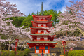 Fujiyoshida, Japan at Chureito Pagoda in Arakurayama Sengen Park during Spring - PhotoDune Item for Sale