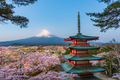 Fujiyoshida, Japan at Chureito Pagoda and Mt. Fuji in the Spring - PhotoDune Item for Sale
