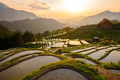 Japanese Rice Terraces in Kumano, Japan at Dusk - PhotoDune Item for Sale