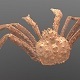 Hyperfine realistic Alaska King Crab R - 3DOcean Item for Sale