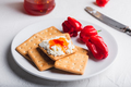 Habanero sauce with cream cheese on crackers - PhotoDune Item for Sale