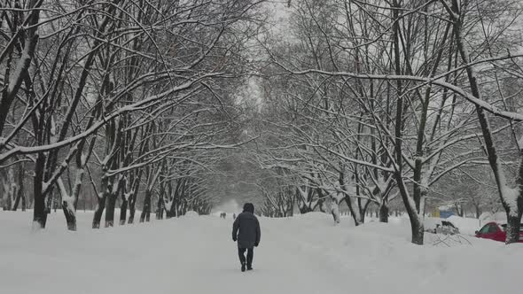 Heavy Snowfall in the City