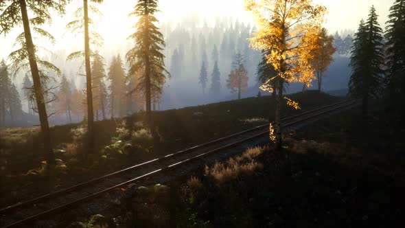 National Forest Recreation Area and the Fog with Railway