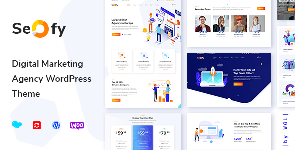 Seofy – Digital & Marketing WordPress Theme