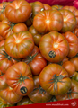 A pile of tomatoes on a table - PhotoDune Item for Sale