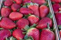 Strawberries are displayed in a box at the farmers market. - PhotoDune Item for Sale