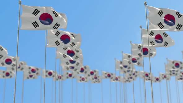 Korea South Row Of National flags Walk Throw Animation